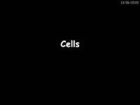 7A Cells