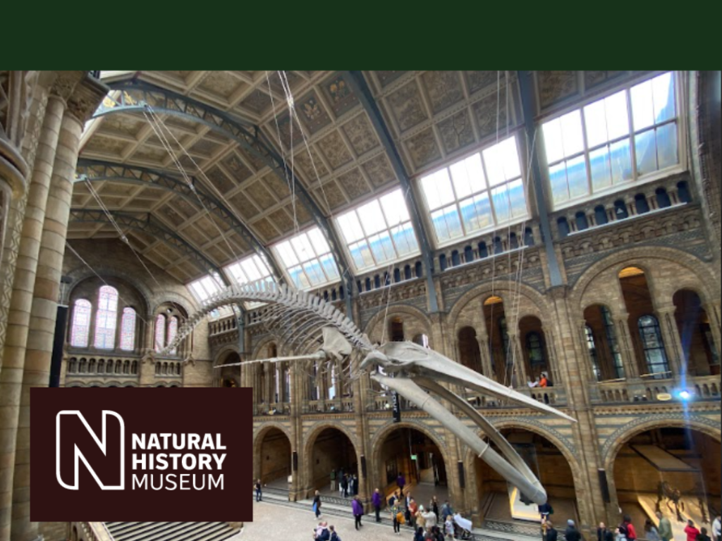 Year 10 visit The Natural History Museum