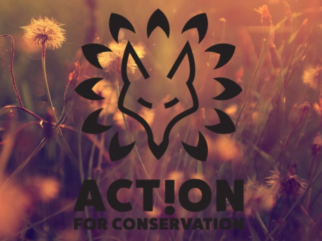 Conservation Summer Camps