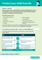 Childhood Flu Information Sheet